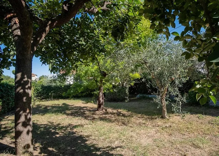 Ferienhaus Casa Adriatica 89 *